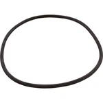 O-ring, Hayward Northstar, Trap Body. Fixed Price $59.90.