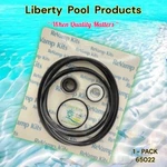 Hydropump From Liberty Pool Products Usa Made 65022 Fits Pac Fab GO-KIT22. Fixed Price $24.59.