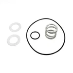14962-0035 Pentair Spring & O-ring Kit. Fixed Price $44.98.