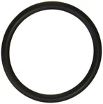 SPX5500K Hayward Strainer O Ring. Fixed Price $18.00.