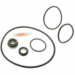 Aladdin GO-KIT77 O-ring Kit, Jandy & Jhpu Pump. Fixed Price $33.99.