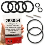 263054 O-ring Kit For Pentair/pacfab/sta-rite Slide Valve (2 Sets). Fixed Price $13.39.