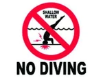 Inlays C611501 Depth Marker 6X6 Smooth Frost Proof Tile No Diving Symbol. Fixed Price $27.88.