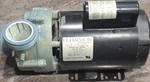 Sta-rite ULTIMAX-56 Spa Pump 1016204 193675-01 Thermally Protected Black. Fixed Price $115.00.