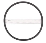 Aladdin APCO2116 Swimrite O-ring 28-828-689. Fixed Price $18.03.