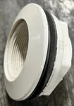 Waterway Return Wall Fitting Assembly With Nut And Gasket 1 2" Fpt Thru. Fixed Price $10.00.