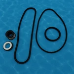 Hayward Super Pump SP1600 SP2600 Gasket Seal Rebuild Kit SPX1600 SPX2600. Fixed Price $27.99.