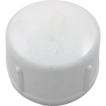 Cap, Lasco, 2" Slip. Fixed Price $10.54.