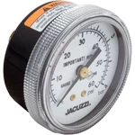 Replacement Valve, Carvin DVK5 To DVK7, 1-1/2", Position. Fixed Price $174.83.