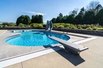Global Pool Products GPPDBGX6G Diving Board Grey. Fixed Price $804.30.