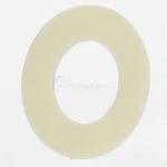 Pentair 272402Z 1/2" Plastic Washer, Npt, Durable, Replacement Part. Fixed Price $19.99.