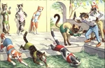 Fantasy Dressed Animals Cats Swimming Pool Race Camera Gun Mainzer Vintage Pc. Fixed Price $7.05.