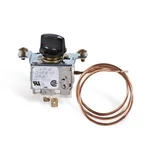 Intermatic Freeze Protection Thermostat (178T24). Fixed Price $77.89.