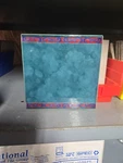 1PC Vintage Green W/ Boarder Swimming Pool Ceramic Tile Frost Free 6"X6" Japan. Fixed Price $15.95.