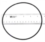 Waterway (center Discharge) Pool Pump Volute Replacement O-ring (mfr #805-0252). Fixed Price $9.99.