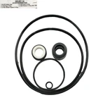 Aladdin GOKIT14 Fits Magnum Pump Orong. Fixed Price $44.02.