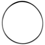 Hayward (AX6060S) Turbo/viper Booster Pump Volute Replacement O-ring O-328. Fixed Price $8.95.