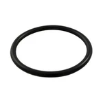 SPX1022CZ2 Hayward O-ring 1.5" Mpt Winter Plug. Fixed Price $11.44.
