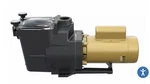 Hayward W3SP2607X10 Super Swimming Pool Pump, Hp 115/230V Single Speed. Fixed Price $789.00.