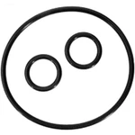 Pentair Purex Ortega 2" Valve Replacement Cap (1) , Shaft (2) O-ring Kit. Fixed Price $9.95.