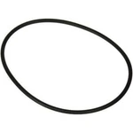 Pentair Letro Swimming Pool Booster Pump Replacement Volute O-ring Part LA415. Fixed Price $12.45.