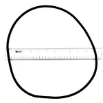 APCO2377 11 Trap Lid O-ring. Fixed Price $14.77.