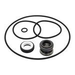 PS-200 Shaft Seal And O-ring Rebuild Kit Replacement For XP2, XP2E, Aquaflo,. Fixed Price $16.03.