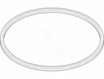 Clear Canister Lid Oring (hayward 005-152-0120-00). Fixed Price $36.05.