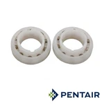 Pentair Legend Bearing Ball 2 Pack / LLC60 LXC60. Fixed Price $24.99.