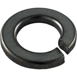 Lock Washer, Pentair Sta-rite, 3/8". Fixed Price $11.40.