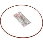 Pentair 474201 Combustion Chamber O-ring Kit For Mastertemp & Max-e-therm Heater. Fixed Price $39.99.