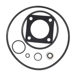 PS-200 Shaft Seal O Ring Repair Rebuild Kit Sta Rite P2RA Dura Glas Pump. Fixed Price $26.52.