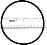 Pentair Ring For Lid Housing R172240Z. Fixed Price $21.95.