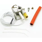 Raypak Pilot Assembly,natural/propane Lid Gas 002003F. Fixed Price $126.02.