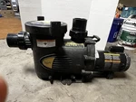Jandy Waterfall Pool Spa Pump. Fixed Price $495.00.