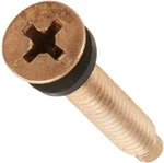 Pentair 79104800 Brass Pilot Screw W/ Captive Gum Washer, Pool & Spa Light. Fixed Price $9.99.