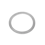 Waterway Plastics 711-4410 Gaskets For Poly Storm Jets. Fixed Price $35.29.