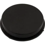 Pentair R172225X 1.5" Plug - Black. Fixed Price $13.78.