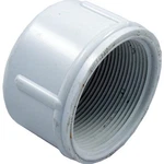 Lasco 448-020 Cap Female Pipe Thread. Fixed Price $22.29.