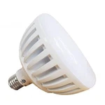 J&j Electronics Purewhite Pro Led 120V, 21W Pool Replacement Bulb. Fixed Price $179.99.