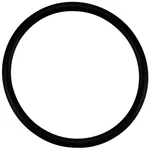 Pentair 350336Z O-ring Pool Part 3" 0.25" For Whisperflo Xf. Fixed Price $19.99.