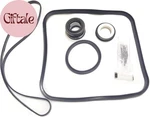 Southeastern Pool Pump Gasket Seal O-ring Repair Kit For Hayward Super SP2. Fixed Price $29.50.