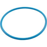 Waterco WC64100 O-ring Chlorinator Lid Viton. Fixed Price $47.43.
