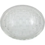 Lens, Pentair American Products Aqualight/spa Brite. Fixed Price $44.20.