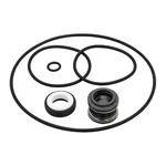 PS-200 Shaft Seal And O-ring Rebuild Kit Replacement For XP2, XP2E, Aquaflo,. Fixed Price $20.85.