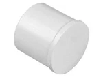2"SPG SCH40 Pvc Plug (spears /lasco 449-020). Fixed Price $10.40.