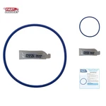 O-ring Chlorine Resistant Viton + Lubricant For Hayward CL200 & CL220 Pool Ch.... Fixed Price $15.99.