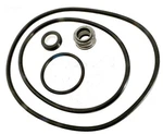 Sta-rite Flo Tech AT251001, 251501 Pump Seal O-ring Kit. Fixed Price $17.98.