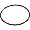 Waterway 805-0238B O-ring, #238 Pool Pump (bag). Fixed Price $23.79.