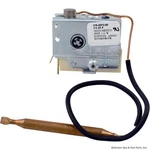 Thermostat, Coates Ph/cph/ce/shb/st : 22002001. Fixed Price $72.93.